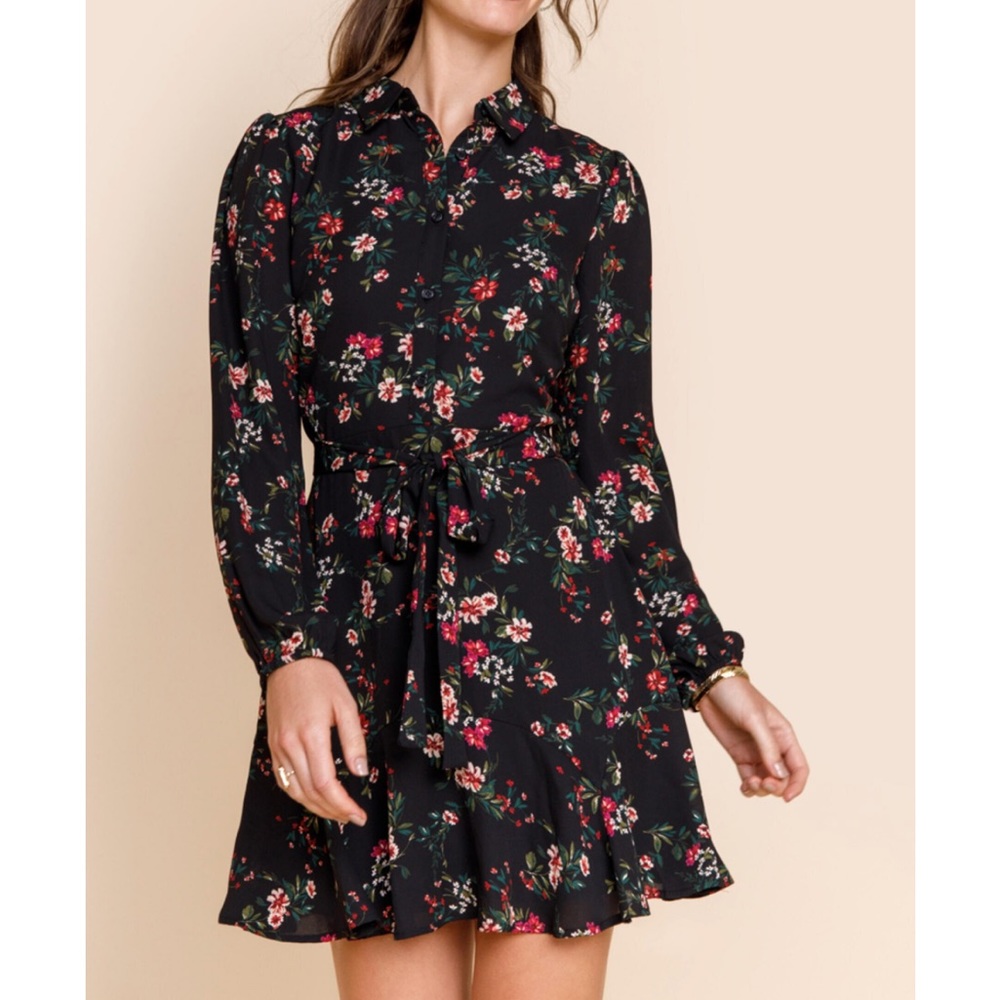 NWT Francesca’s Trixxi Button Front Godet Mini Dress